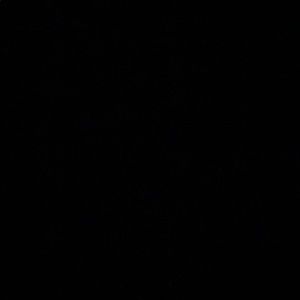 Meet your Posher, Ann marie n